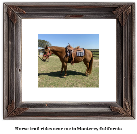 horse trail rides near me in Monterey, California